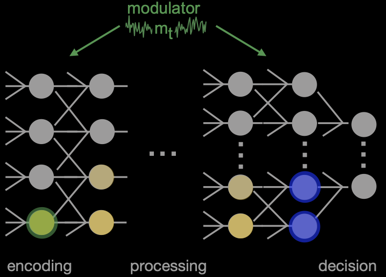 Stochastic Gain Modulation