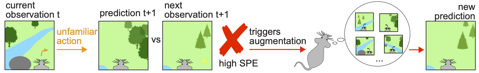 Experiential Augmentation