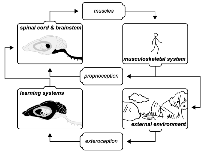 Control and Learning